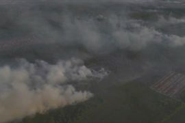 Antisipasi El Nino, Pontianak bentuk tim dan posko siaga karhutla