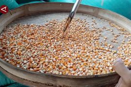 Siapkan SPHP Jagung, Bulog Sulselbar target serap 150.000 ton jagung