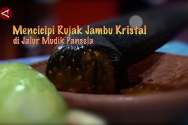 Mencicipi pedas manis rujak jambu kristal di jalur mudik Pansela