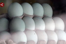 Nasib pedagang telur asin Brebes di persimpangan Tol Trans Jawa