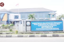 72 usaha perikanan Bangka Belitung bisa ekspor berkat sertifikat HACCP