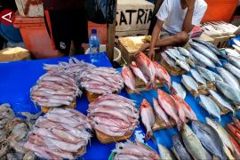 Kejar PAD 2026, Dinas Perikanan Jayapura genjot sektor retribusi