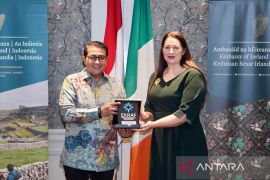 Indonesia seeks Ireland partnership to boost creative economy