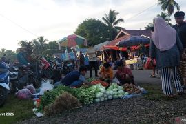 BPS: Cabai hingga bawang merah bantu tahan inflasi Bengkulu Maret 2026