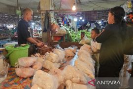 BPS Papua sebut 20 komoditas di Bumi Cenderawasih penyumbang inflasi pada Maret 2026