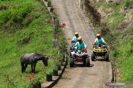 Destinasi agro wisata Tamansuruh Banyuwangi