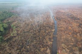 Manggala Agni masih berupaya padamkan karhutla ratusan hektare di Riau