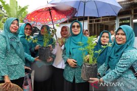 TP PKK Madina tinjau kesiapan desa binaan di dua kecamatan