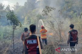 BPBD Kaltim perkuat kewaspadaan karhutla dengan temuan 77 titik panas