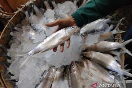 Inflasi Maret 2026 turun ke angka 0,41 persen