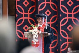 Ubi kayu berpotensi jadi sumber pendapatan dan pangan