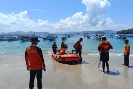 Tim SAR gabungan lanjutkan pencarian wisatawan hilang di Papuma Jember