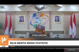 Perekonomian RI alami inflasi tahunan 3,48 persen pada Maret 2026