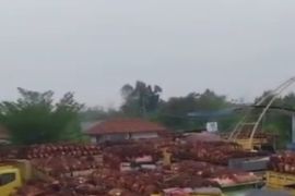 Puluhan truk sawit petani tertahan di Pelabuhan Roro, DPRD Riau panggil Dishub