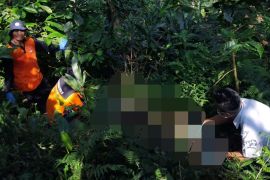 Polisi selidiki penemuan kerangka manusia tanpa identitas di kebun kopi Gembong Pati