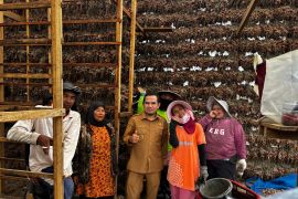 Solok dorong integrasi pertanian dan pariwisata Alahan Panjang