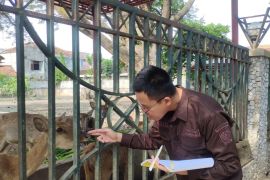 DPKH Tulungagung tangani penurunan kondisi satwa Pendopo