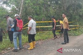 Jalan penghubung antardesa Sosoh Buay Rayap di OKU nyaris putus akibat longsor