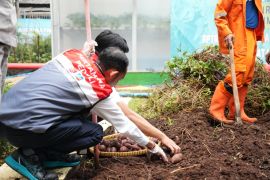 Pertamina Patra RJBB dan Pemprov DKI Jakarta panen raya di RPTRA Sunter Jaya