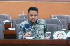 Anggota DPR minta pemerintah antisipasi dampak harga avtur dunia naik