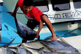 Deflasi Maluku Maret 2026 dipicu turunnya harga ikan