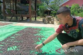 Dinas Perkebunan Kaltim latih petani tangani hasil perkebunan