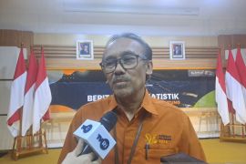 BPS: Penumpang kapal laut antar pulau di Babel turun 19,93 persen