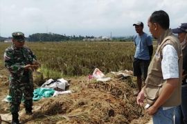 Bulog Banyumas melampaui target penyerapan gabah periode Januari-Maret