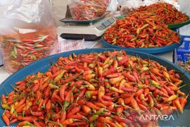 Bank Indonesia Kaltim sebut strategi 4K terbukti efektif kendalikan inflasi