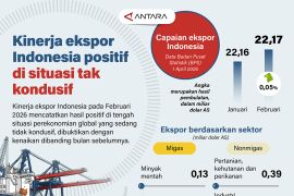 Kinerja ekspor Indonesia positif di situasi tak kondusif