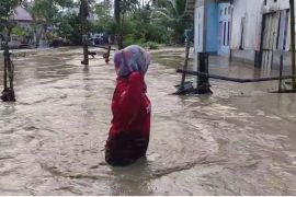 Banjir rendam sekitar 30 rumah di Labean Donggala