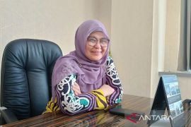 BKD Kaltim jamin keberlanjutan ribuan PPPK meski efisiensi anggaran