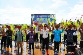 Rutan Pelaihari garap 20 hektare sawah libatkan warga binaan