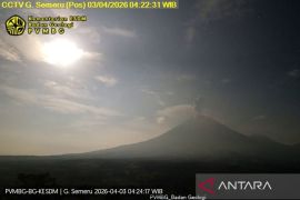 Semeru empat kali erupsi dengan tinggi letusan hingga 1.200 meter