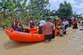 BNPB laporkan jumlah pengungsi banjir Demak jadi 2.839 jiwa