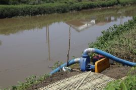 Kementan optimalkan pengoperasian 80.158 pompa air hadapi El Nino
