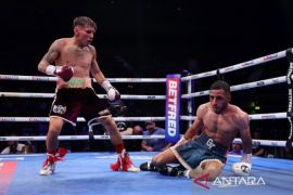 Galal Yafai bidik gelar juara dunia WBC