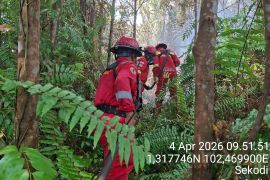 Sumber air sulit, perlu alat berat padamkan karhutla di Bengkalis