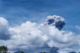 Indonesia's Mount Dukono erupts, ash rises 1.4 km