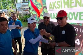 Gubernur Babel tanam mangrove hijaukan sungai Pangkalpinang