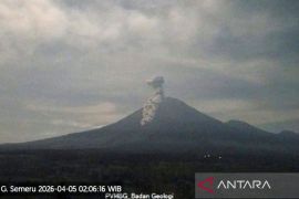 Gunung Semeru erupsi disertai letusan awan panas sejauh 3,5 km