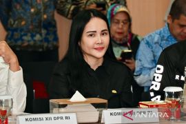 DPR ingatkan efek domino krisis energi tekan industri nasional