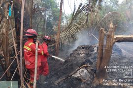 Karhutla terlihat satu hamparan pada lima desa di Bengkalis Riau