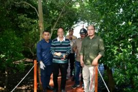 Pemkab Lombok Timur mengingatkan warga tetap jaga mangrove Desa Sugian