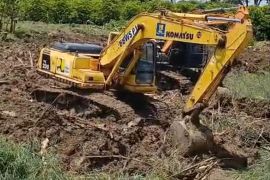 BBWS Pemali Juana perbaiki tanggul Sungai Tuntang yang jebol akibatkan banjir Demak