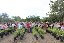 Gubernur-TP PKK Babel panen cabai Program "Gencar"