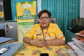 Pemprov Papua optimistis penanaman 1.000 hektare sawah rampung 2026