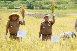Sumedang dorong Tabela jadi model peningkatan produktivitas pertanian