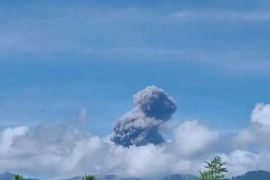Gunung Dukono di Malut erupsi lontarkan abu 1.000 meter