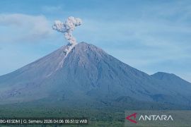 Gunung Semeru erupsi 7 kali Senin pagi, tinggi letusan mencapai 1,1 km